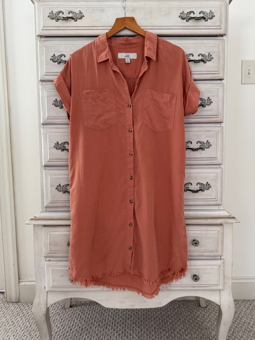 Vici Dusty Cedar Button Shirt Dress